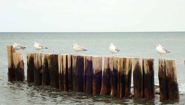 Strandresidenz K&uuml;hlungsborn